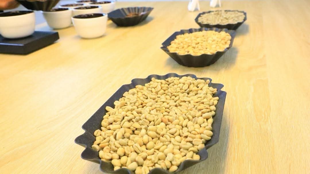 Read more about the article The Ethiopian Investment Commission has vowed to further strengthen its aftercare services.