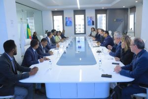 Read more about the article German Companies Express Strong Interest in Investing in Ethiopia.