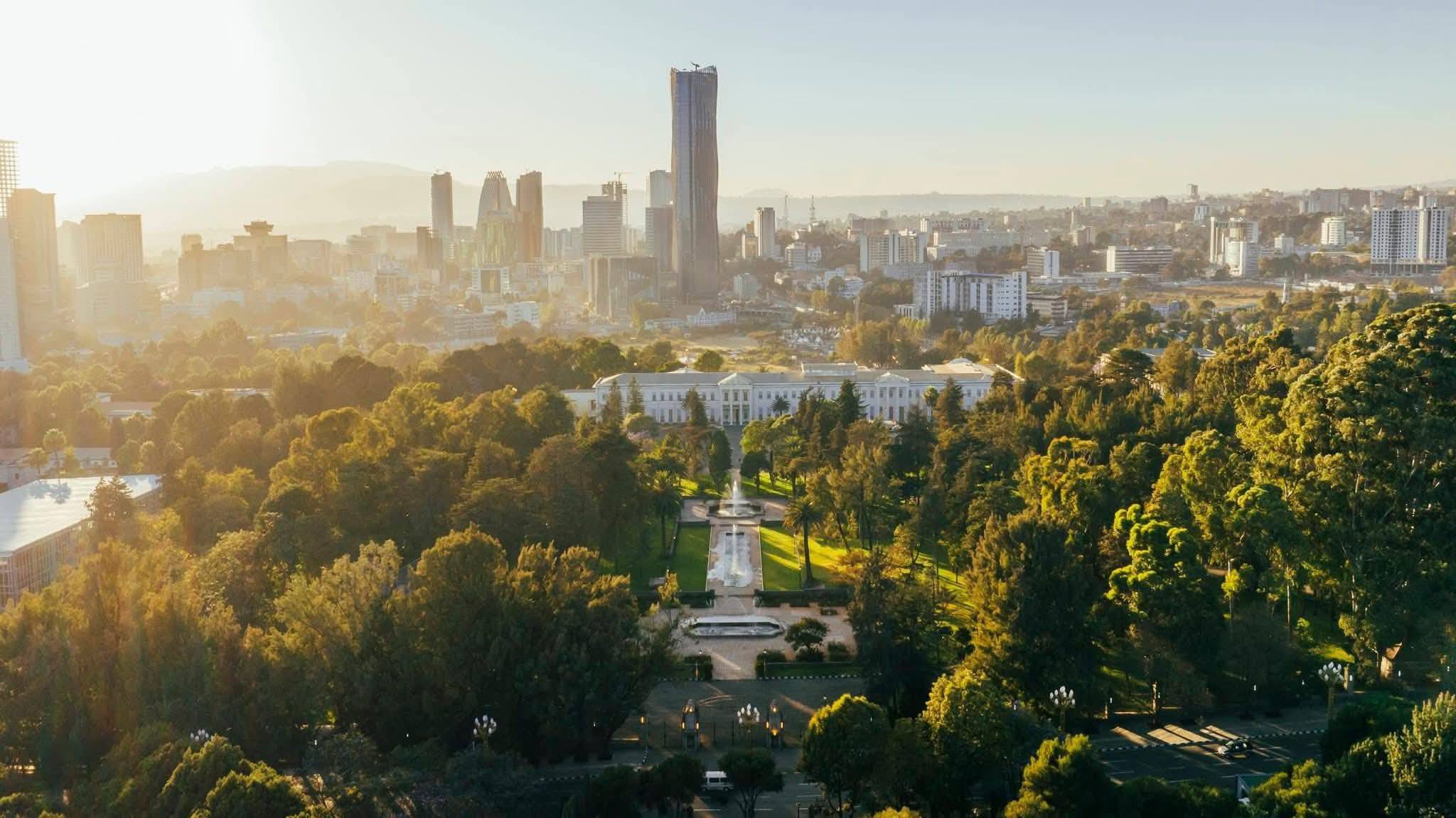 Read more about the article Addis Ababa’s Green Coverage Rises to 22%: Mayor