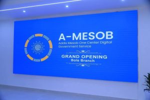 Read more about the article Over 195,000 Permanent Jobs Created in Just Six Months:Mayor