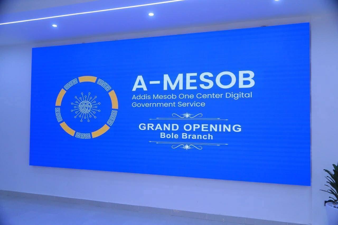 Read more about the article Over 195,000 Permanent Jobs Created in Just Six Months:Mayor
