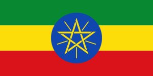 Read more about the article Africa’s Pride: Ethiopia’s 10 Great Contributions to Africa & Africans