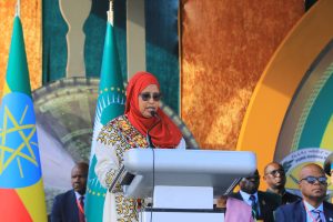 Read more about the article Ethiopian Defense Force Safeguards Sovereignty, Peace, and Continental Stability-Engineer Aysha Mohammed