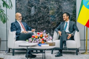 Read more about the article Ethiopia, Italy Hold Talks to Strengthen Nuclear Energy Cooperation