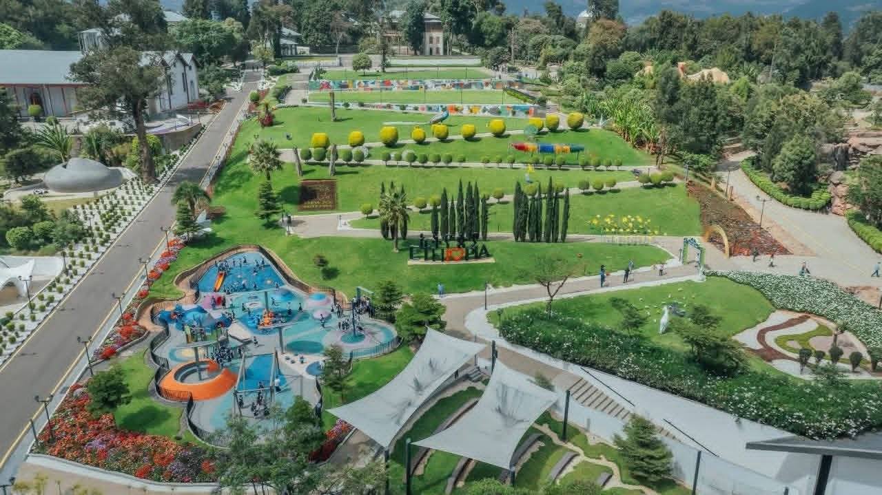 You are currently viewing Addis Ababa Moves to Expand Urban Forest Coverage with New 10-Year Forest Strategy