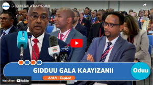 Read more about the article GIDDUU GALA KAAYIZANII