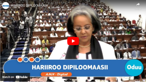 Read more about the article HARIIROO DIPILOOMAASII