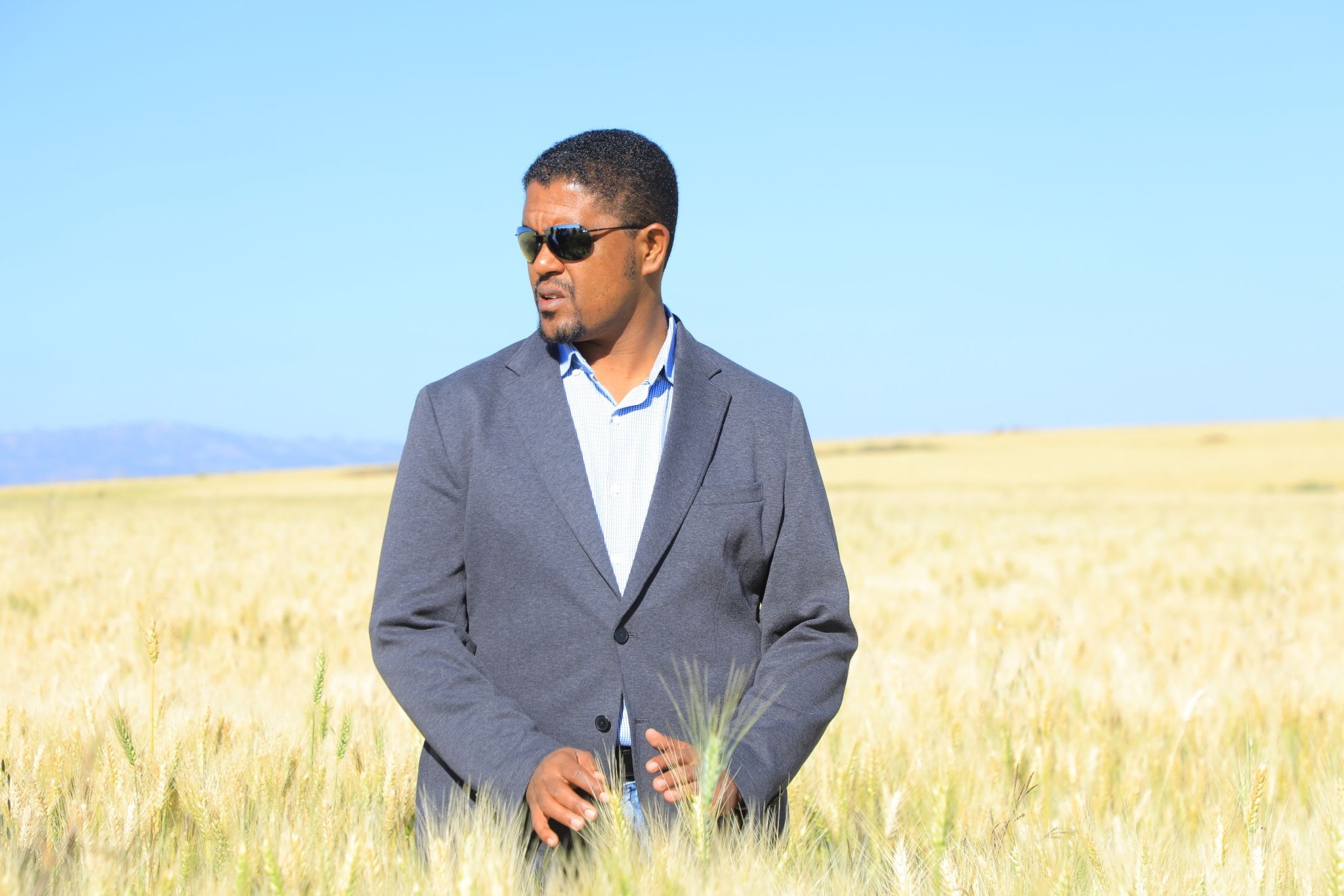 Read more about the article Naannoo Oromiyaatti bara bajaata kanatti lafa heektaara mil. 4 irratti qamadii bonee misoomsuuf karoorfamee hojjatamaa jira- Obbo Shimalis Abdiisaa