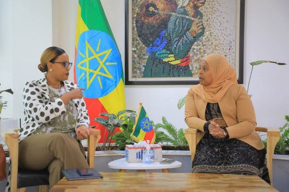 Read more about the article Fedhii gabaa fi dhiyeessi humna namaa damee tuurizimii irratti mariin gaggeeffame
