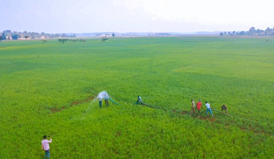 Read more about the article Kaayyowwan Riifoormii Sektara Dinagdee Mandhaleetiin akeekaman keessaa tokko hudhaalee sektaroota ijoo furuudha- Waajjira Pirezidaantii Oromiyaa