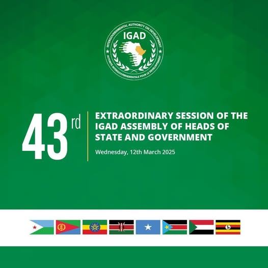 Read more about the article IGAD dhimma Sudaan kibbaa irratti walga’ii ariifachiisa har’a ni ta’a