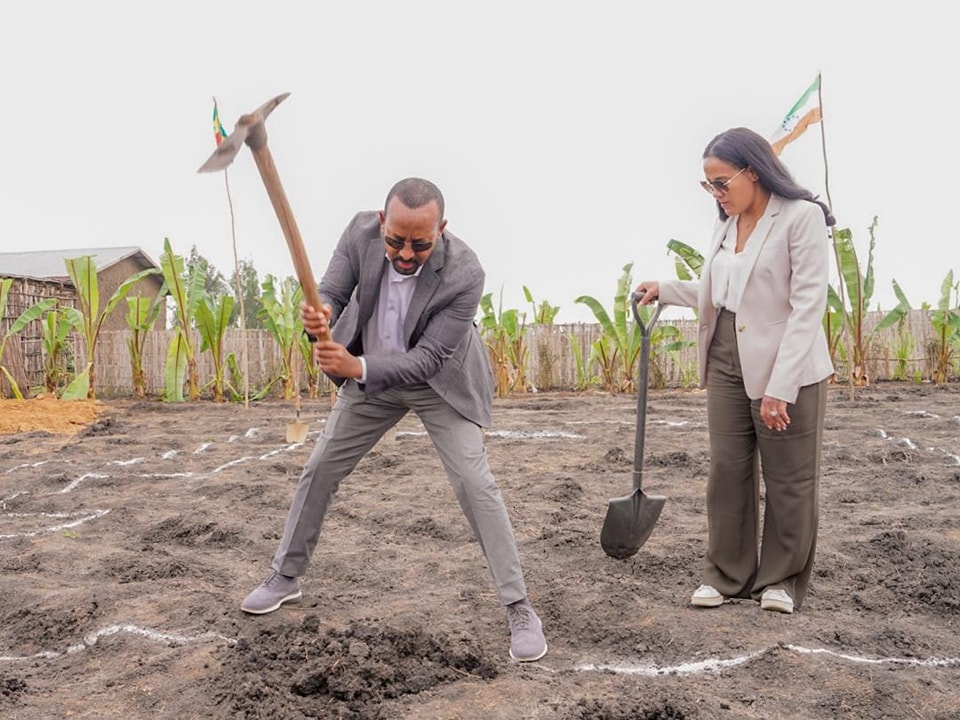 Read more about the article Ministirri Muummee Abiyyi Ahimad (Dr) afraffaa fi qaama hojii tola ooltummaa gannaa kan ta’e hojii misooma kooriidarii baadiyyaa naannoo jiddugala Itiyoophiyaa Godina Silxee Aanaa Hulbarag Ganda Warabet Shamaatti jjaarsa mandara jireenyaa moodeela qonnaan bultootaa jalqabsiisan