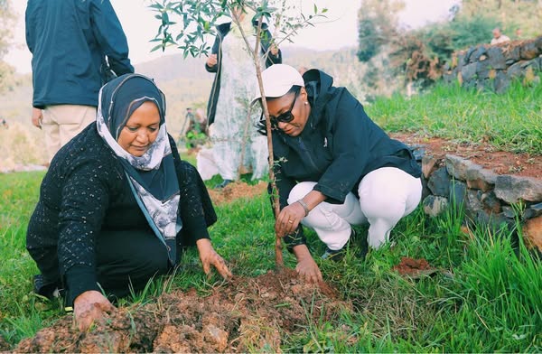 You are currently viewing Kantiibaa Adaanech Abeebee miseensota mana maree magaalaa Finfinnee waliin ta’uu gaara Inxooxxoorratti biqiltuu dhaaban