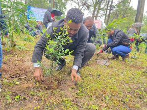 Read more about the article Abbaan Taayitaa Bulchiinsa Dhaabbilee Misooma Mootummaa Magaalaa Finfinnee itti waamamtoota isaa waliin biqiltuu dhaabe