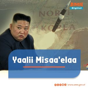 Read more about the article Kooriyaan Kaabaa Yaalii Misaa’ela haaraa taasiste