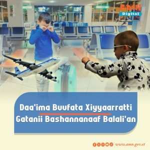 Read more about the article Maatiin daa’ima isaanii dhiisanii xiyyaaraan balali’uuf turan maaliif komataman?
