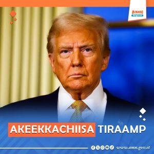 Read more about the article Yuukireen miseensa ‘NATO’ hin taatu- Tiraamp