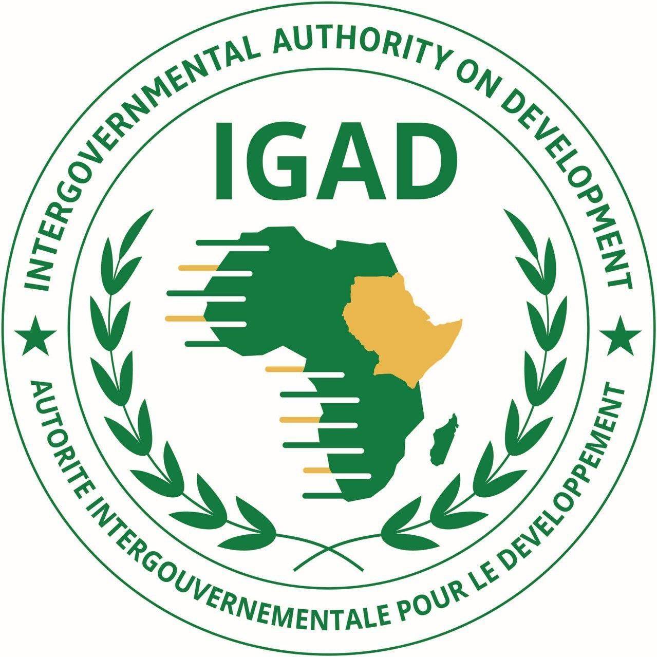 You are currently viewing IGAD fi Jaappaan dargaggoota gahoomsuu akkasumas nagaa fi tasgabbii irratti waliin hojjachuuf waliigalan