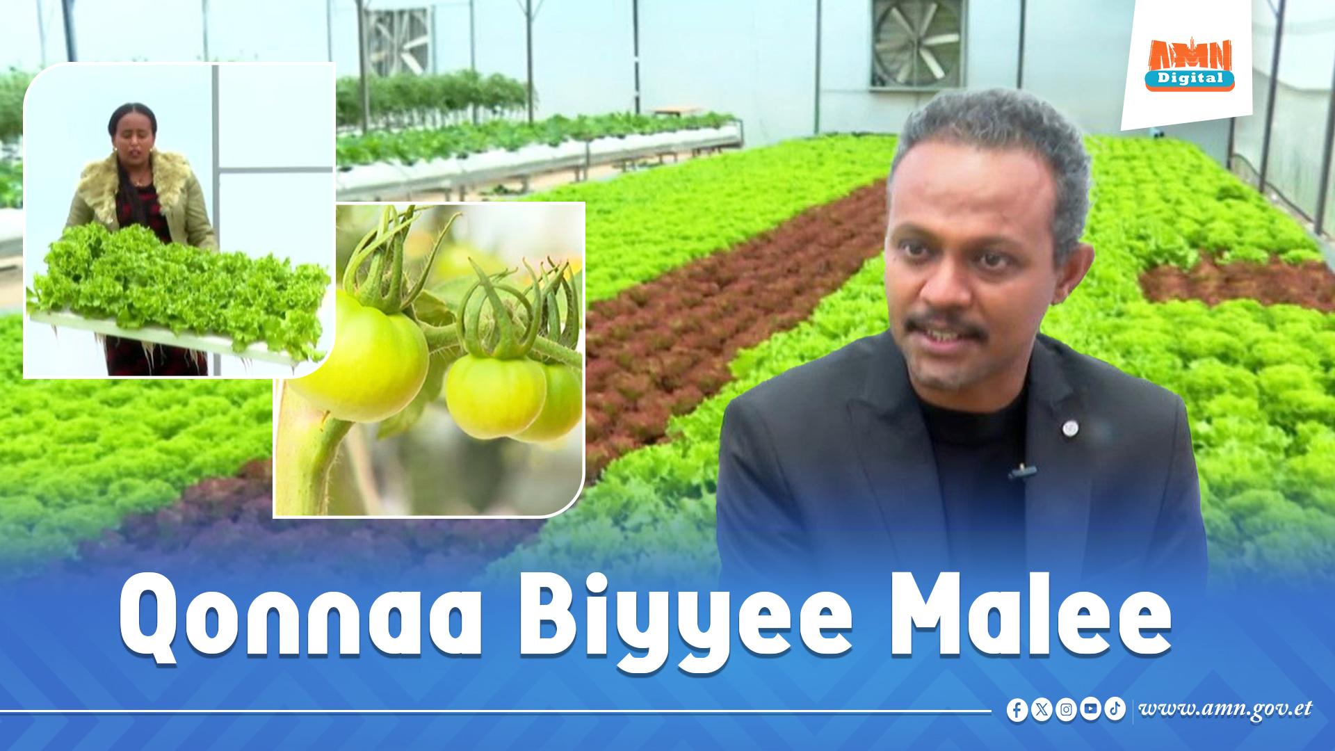 You are currently viewing Biyyee malee qotuun ni danda’amaa?