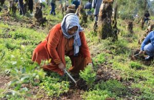 Read more about the article Ministeerri Daldalaa fi Walitti Hidhaminsa Naannowaafi Hooggatoonni itti wamama dhaabbatichaafi Hojjetoonni hundi ‘Dhaabuun Bayyanachuudha’ mata-duree jedhuun sagantaa biqiltuu dhaabuu adeemsisaniiru.
