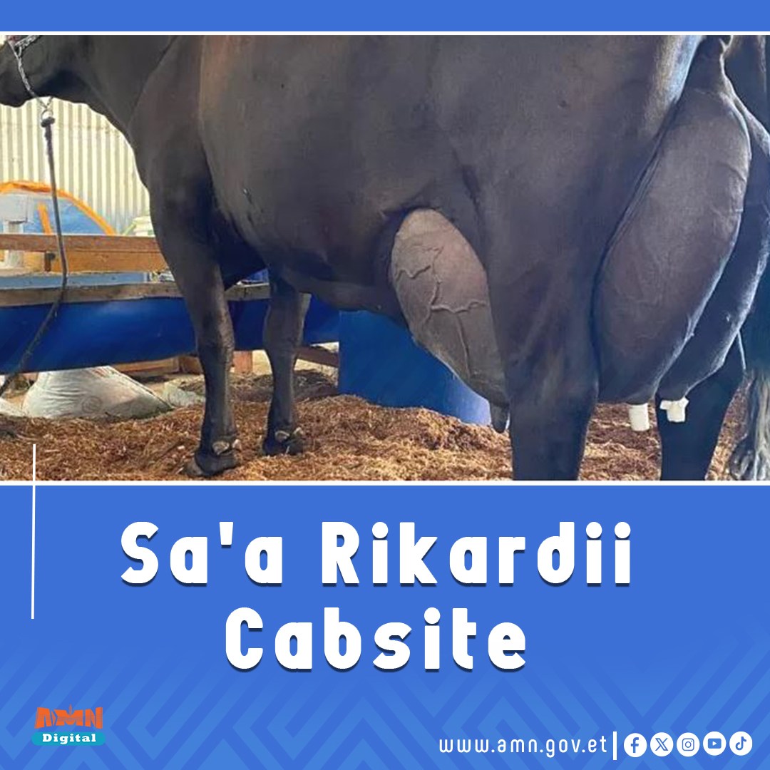 You are currently viewing Sa’a Aannan Liitira 343 kennuun Rikoordii Cabsite.