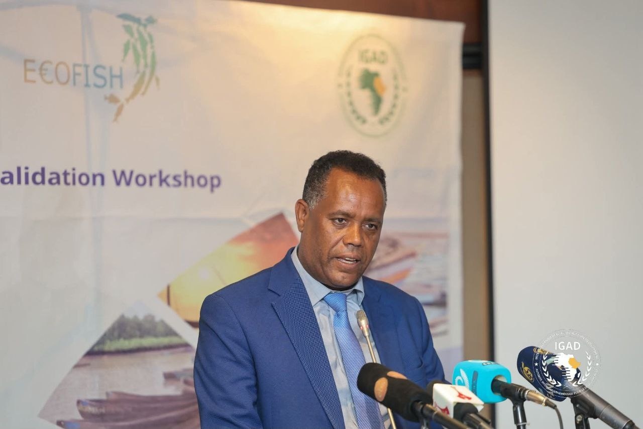 You are currently viewing Mariin Dhimma Misooma Qurxummii biyyoota miseensa IGAD Finfinneetti taa’amaa jira