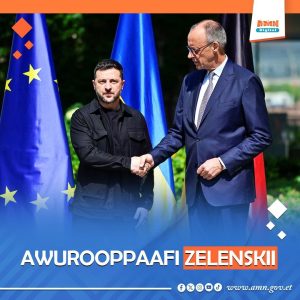Read more about the article Pireezdaant Zelenskii hooggantoota Awurooppaa waliin mari’achuuf Barliin seenan.