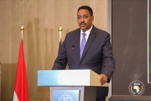 Read more about the article Dargaggoonni biyyoota miseensa IGAD nageenyaaf sagalee ta’uu qabu- Warqinaa Gabayyoo (PhD)