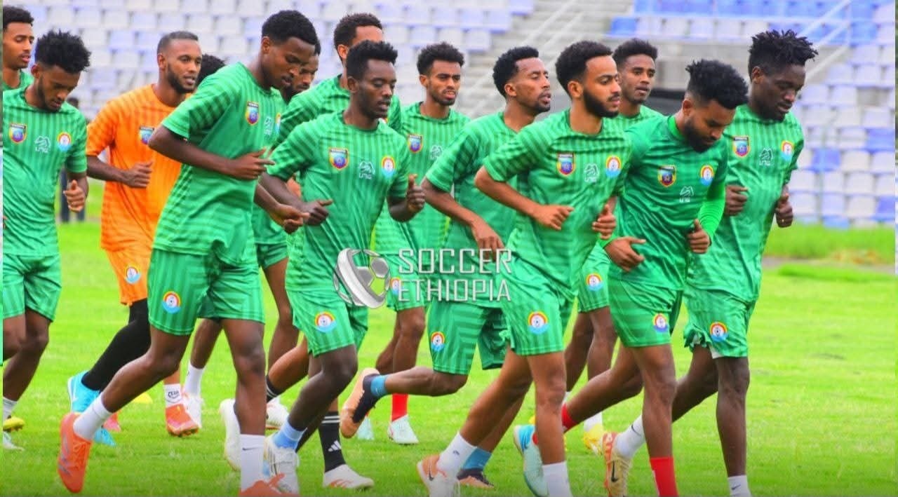 You are currently viewing Waaliyaawwan tapha Ijiptiifi Seeraaliyoon waliin qabaniif shaakala eegalan