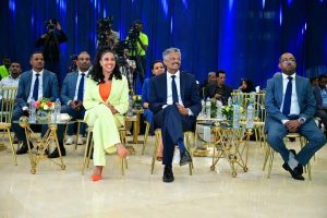 Read more about the article Itiyoo Teelekoom galii birrii biiliyoona 235 ol walitti qabuuf karoorse