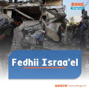 Read more about the article Israa’el Lammiilee ugguraman gadi lakkisiisuuf marii eegaluufi jetti