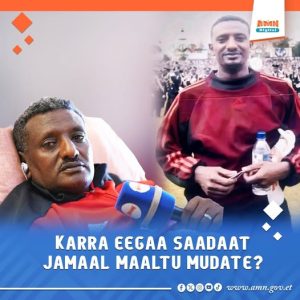 Read more about the article Karra Eegaa Saadaat Jamaal maaltu mudate?