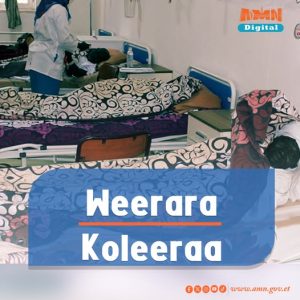 Read more about the article Weerara Dhibee Koleeraa Sudaanitti mul’ate to’achuudhaaf tattaaffin taasifamaa jira