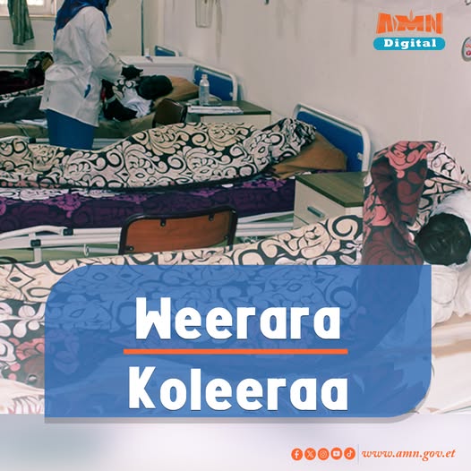 You are currently viewing Weerara Dhibee Koleeraa Sudaanitti mul’ate to’achuudhaaf tattaaffin taasifamaa jira