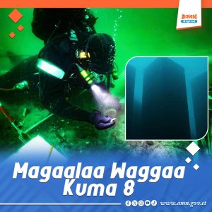 Read more about the article Magaalaan umurii Kuma 8 olii Galaana jalatti argamte