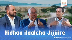 Read more about the article Milkaa’inni Hidhaa Haaroomsaa ilaalcha biyyoota alaa Itoophiyaaf qaban jijjiire- Hayyoota