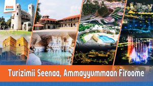 Read more about the article Misooma Turizimii Seenaa, Ammayyummaan Firoome‎‎