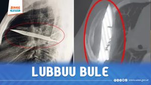 Read more about the article Haaduu lapheetti baatee, akkamumatti jiraate?