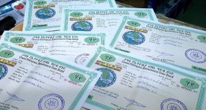 Read more about the article Hidhi Haaromsaa xumuramuusaan akka nama ilmoo argateetti gammanne – Daldaltoota Markaatoo
