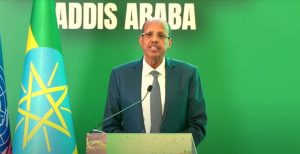 Read more about the article Tokkummaan yoo dhaabbanne sagalee Afrikaa dhageessisuu ni dandeenya- Dura Taa’aa Komishinii Gamtaa Afrikaa