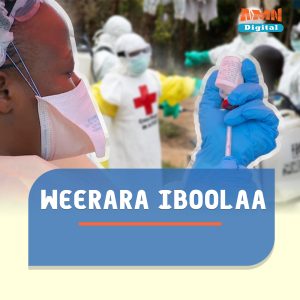 Read more about the article Koongoon weerarri Iboolaa waggaa sadii booda deebi’ee ka’uu beeksiste