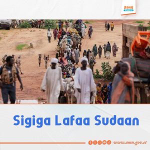 Read more about the article Sudaanitti sigigni lafaa namoota 1000 galaafate