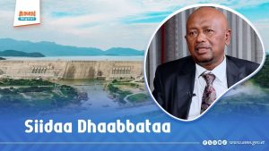 Read more about the article Hidha waliigaltee Kolonii duwwaatti hambise