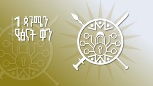 Read more about the article Itoophiyaan badhaadhina ishee harka jabaa bu’uura ishee cimsuu danda’uun ni mirkaneessiti- MM Abiyyi Ahimad (Dr)