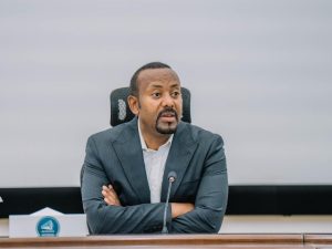 Read more about the article Nageenya waaressuun ergama hangafaa dhaabbilee nageenyaati- MM Abiyyi Ahimad (Dr.)