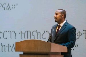 Read more about the article Itoophiyaan ulaa galaanaa ni mijeeffatti- Ministira Muummee Abiyyi Ahimad (Dr.)
