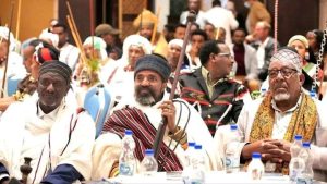 Read more about the article Ayyaanni Irreechaa bara 2018 safuufi safeeffannaa isaa ganamaatiin kabajama- Biiroo Aadaafi Turizimii Oromiyaa