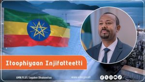 Read more about the article Itoophiyaan Injifatteetti: Xiinxalli Barruu ‘The Arab Weekly’ maal jedha?