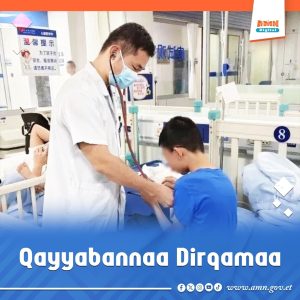 Read more about the article Barataan dirqamaan sa’atii 14 qayyabate Hospitaala seene