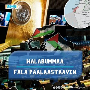 Read more about the article Furmaatni Biyya Walabaa Lama hundeessuu “Two State Solution” rakkoo Israa’eliifi Paalastaayin gidduu akkamiin furuu danda’a?